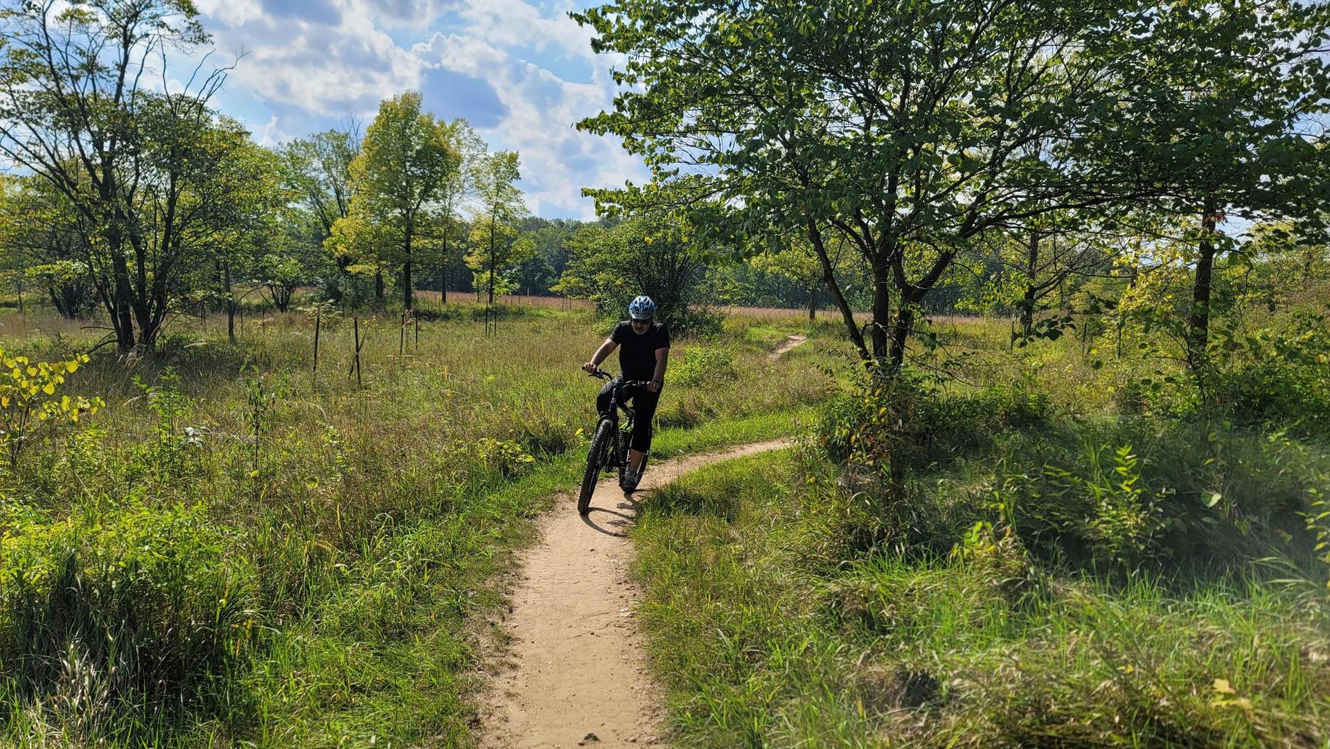 Mountain biker on a dirt path through a sunny, grassy field.