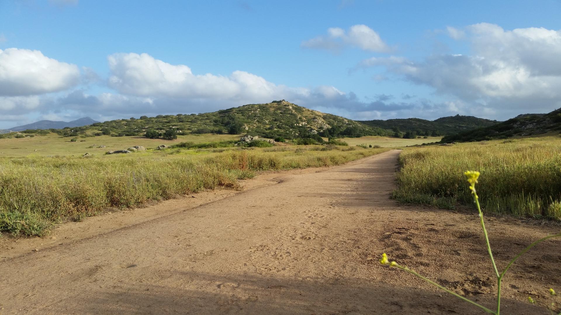 A winding dirt path through sunlit fields with distant green hills.