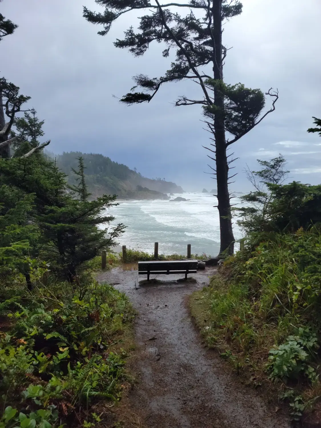 Path leading to a bench overlooking a stormy ocean and coastline.