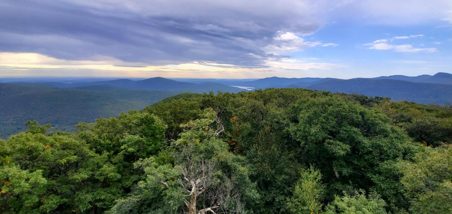 Expansive view over dense green forests and distant mountains under a cloudy sky.
