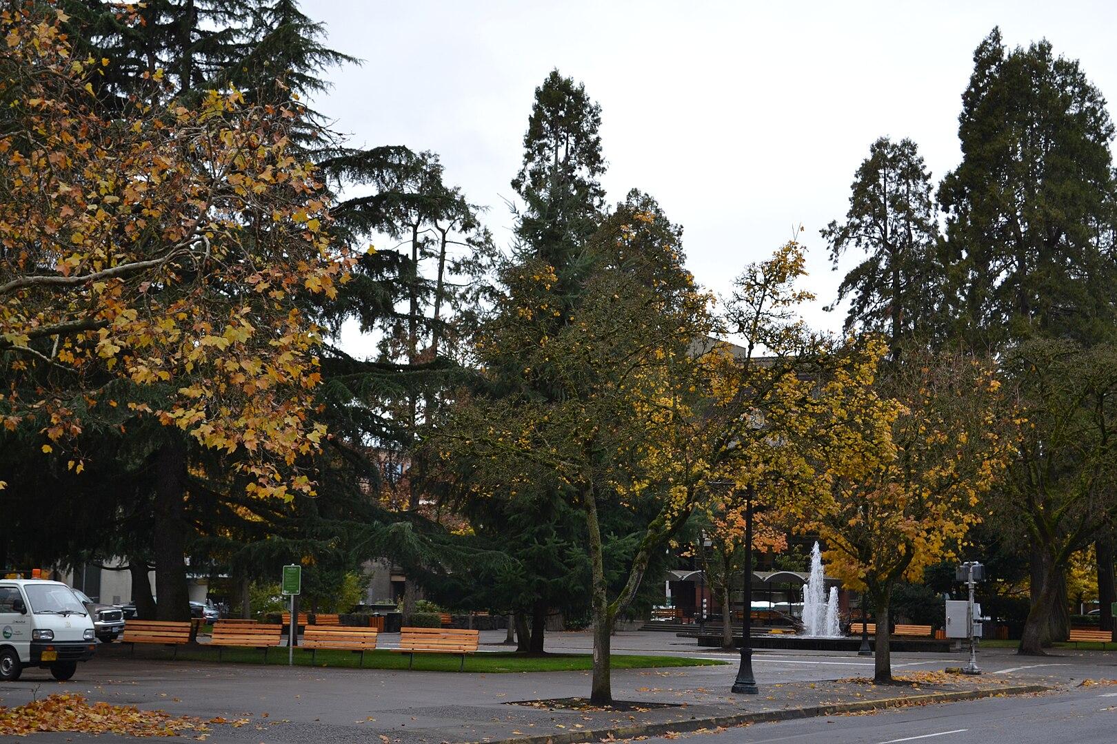 Overcast view of a park with autumn trees, a fountain, and benches.