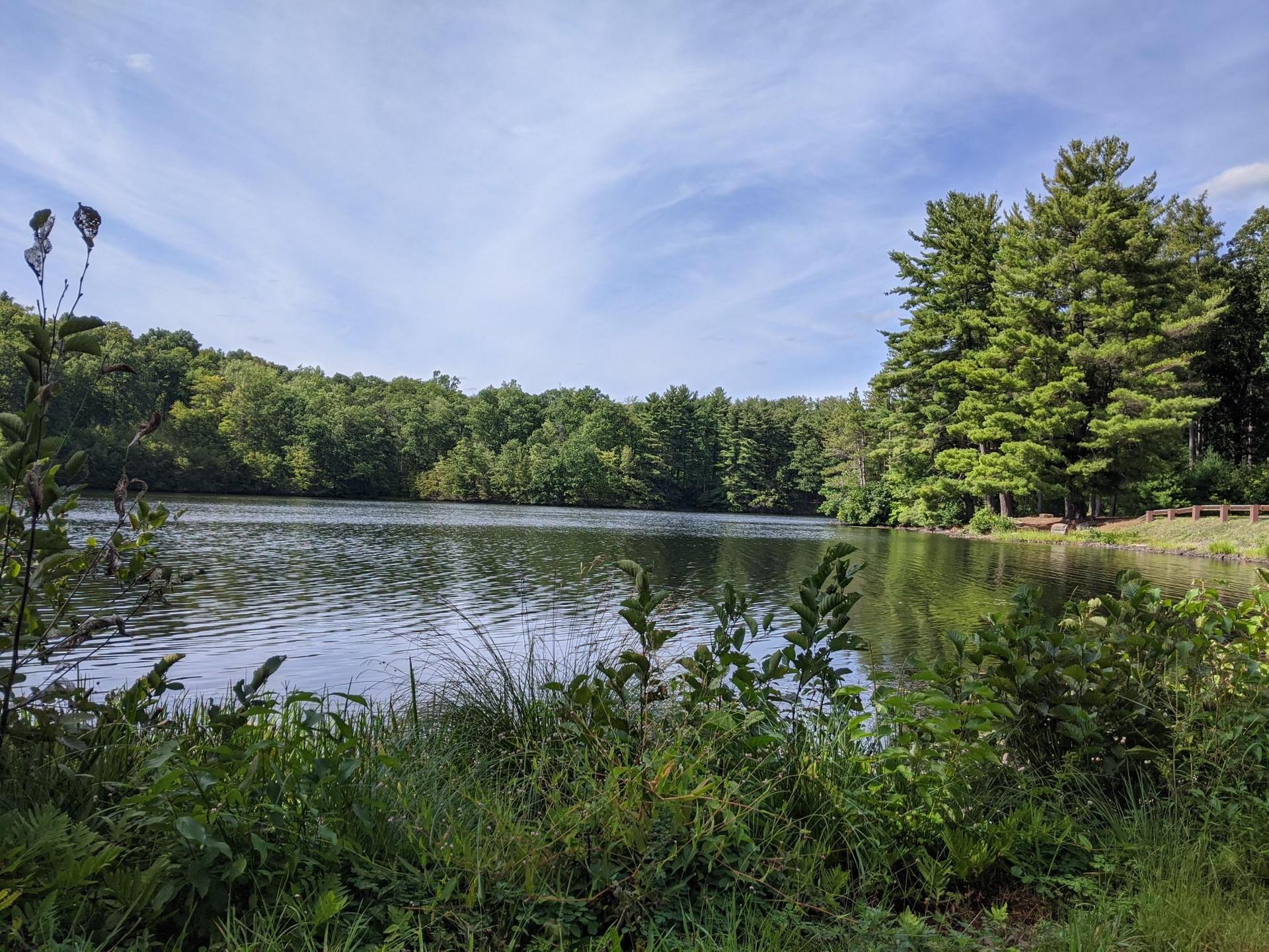 A serene lake surrounded by lush green trees under a partly cloudy sky.