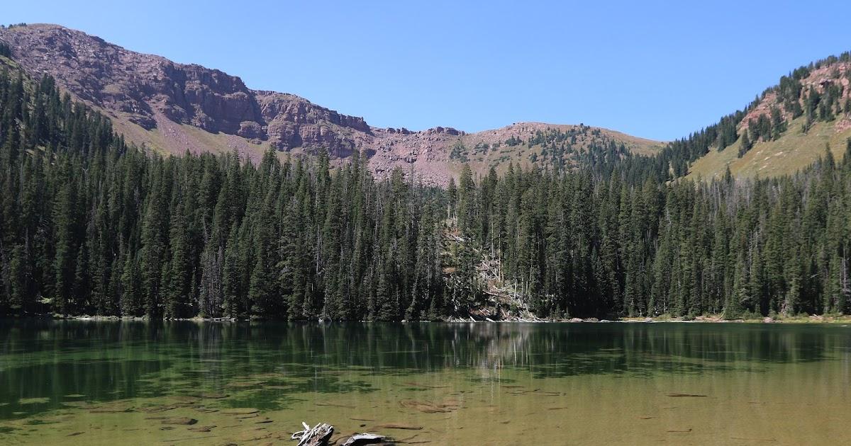 Clear mountain lake reflecting a dense evergreen forest and rocky peaks.
