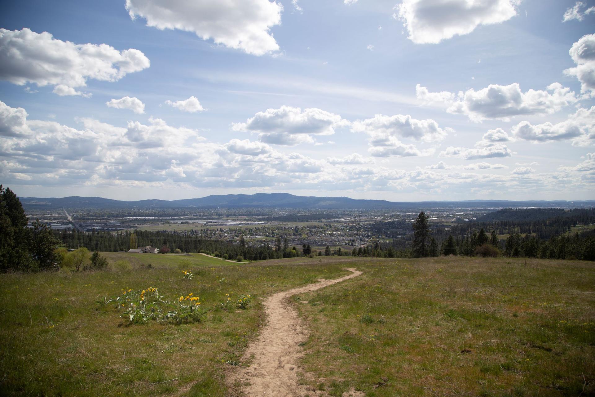 A dirt path winds through a sunny, grassy field towards a distant town.