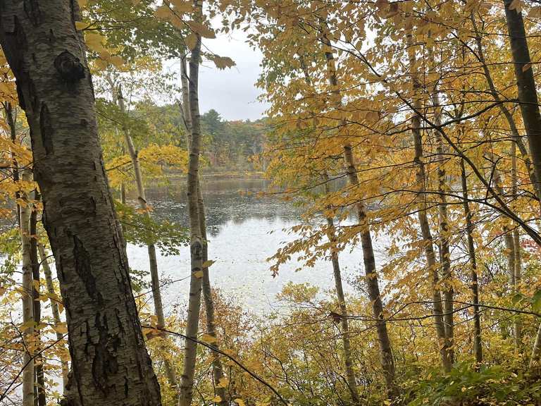Dykes Pond Wanderungen und Rundwege komoot