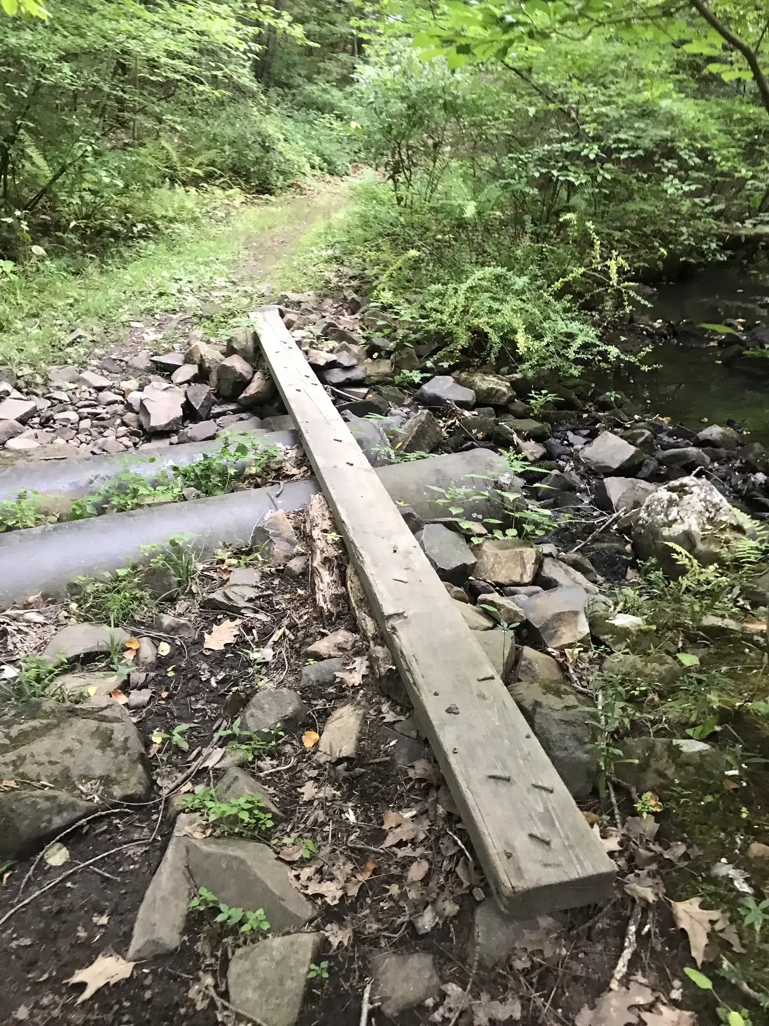 A wooden plank bridge over a rocky stream in a green forest.