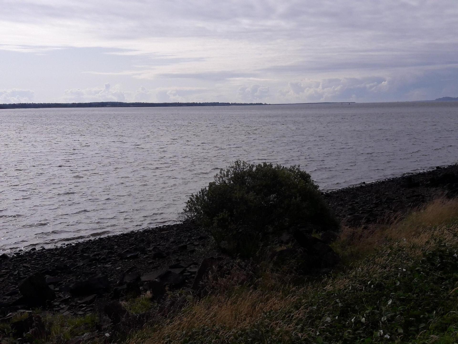 Overcast view of a wide bay with a rocky shore and distant land.