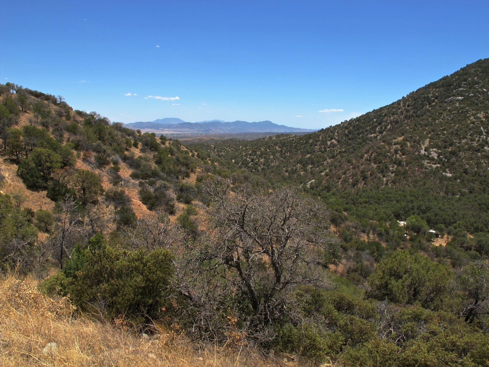 Expansive view of green, rolling hills and distant mountains under blue sky.