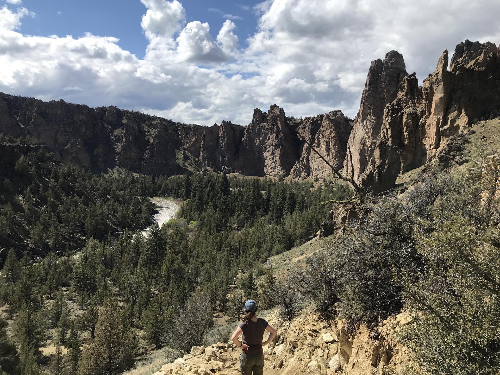 Hiker on a trail admiring a forested canyon with dramatic rock formations.