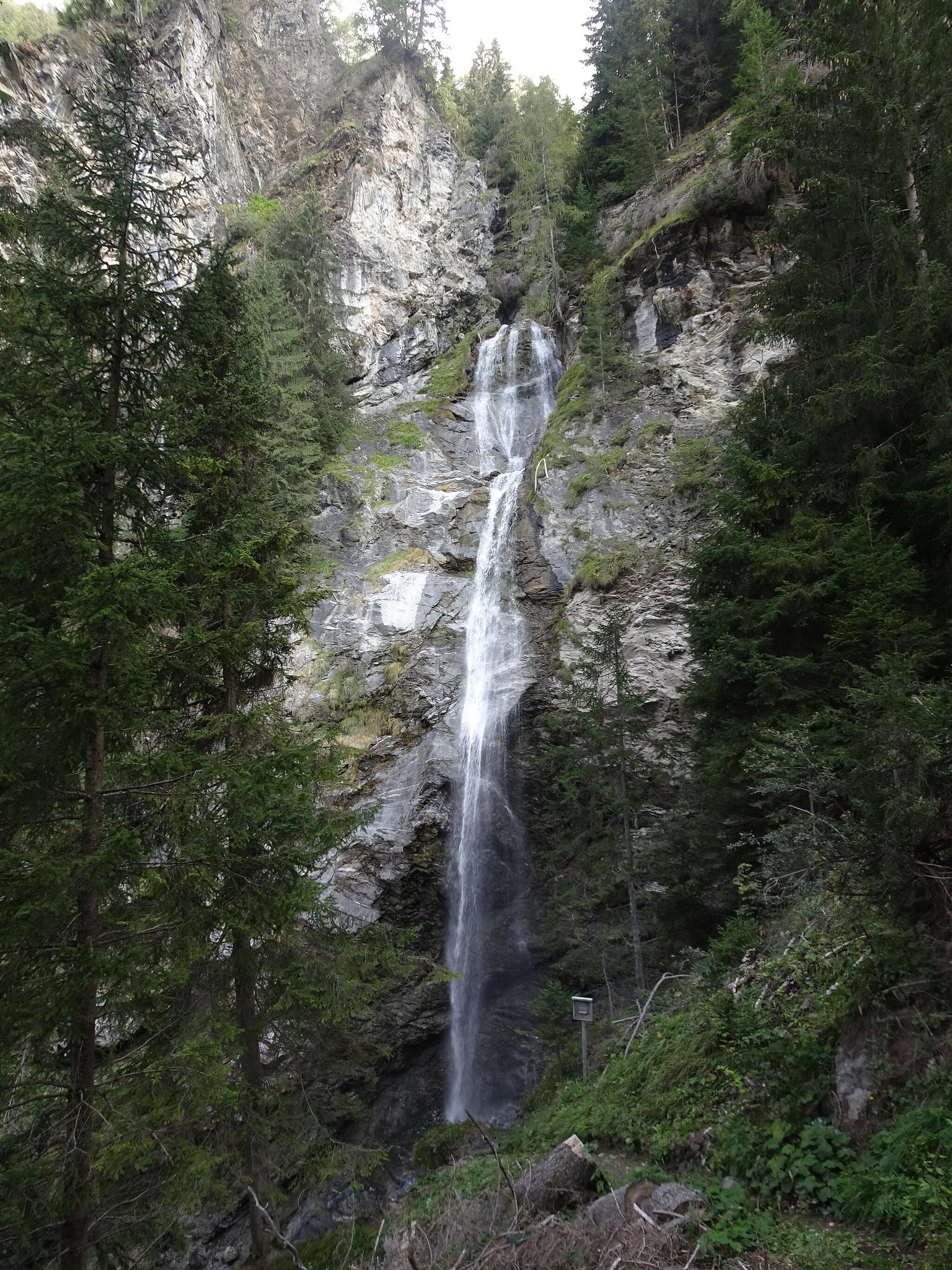 Tall waterfall cascading down a rocky cliff face amidst dense green forest.