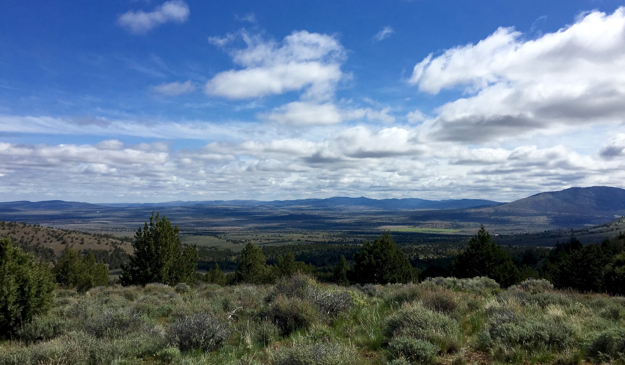 Expansive green landscape under a bright blue sky with scattered clouds. - Cole Loop and Gray Butte Trail