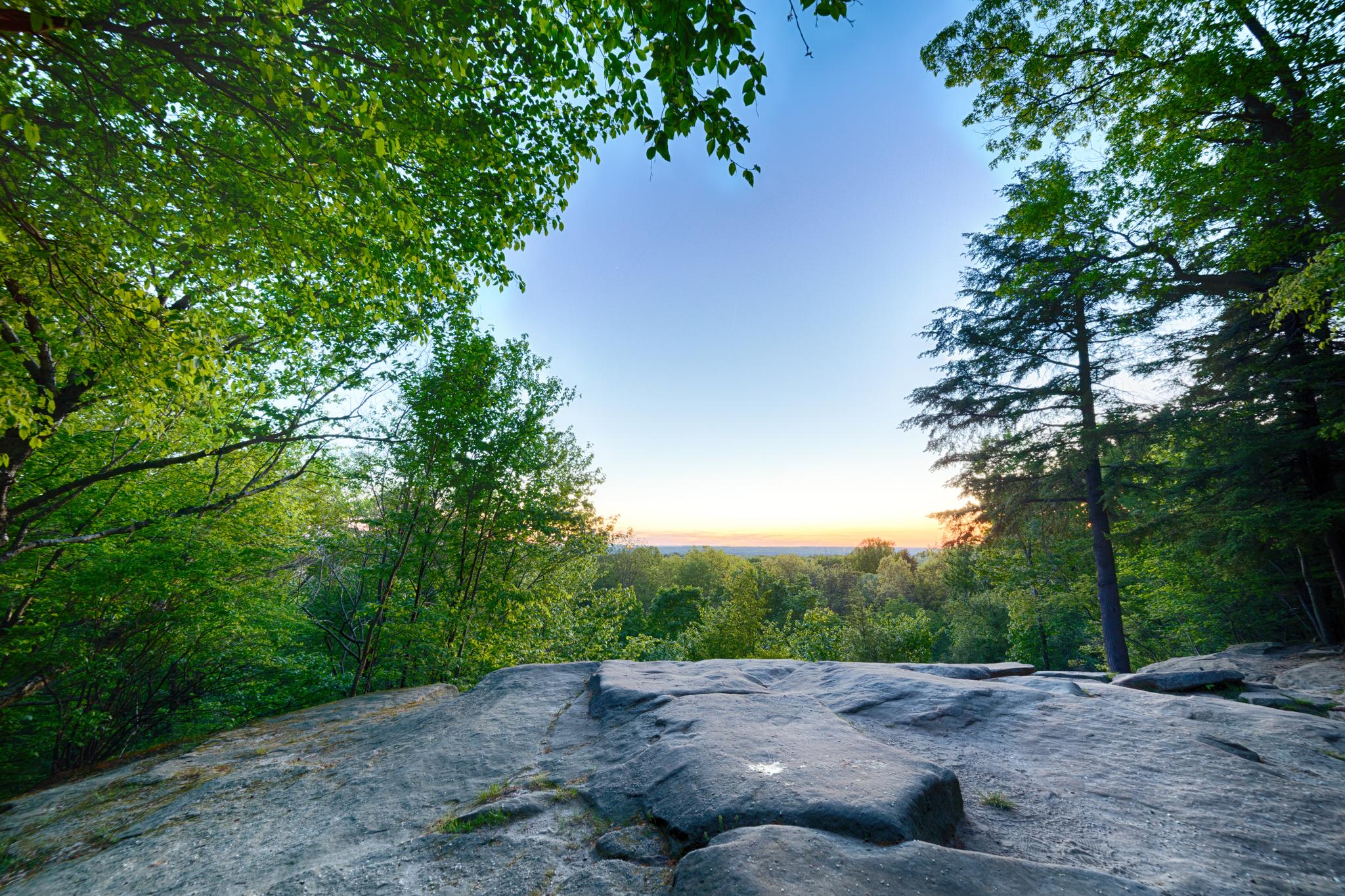 Rocky ledge overlooking a vast green forest at sunset.
