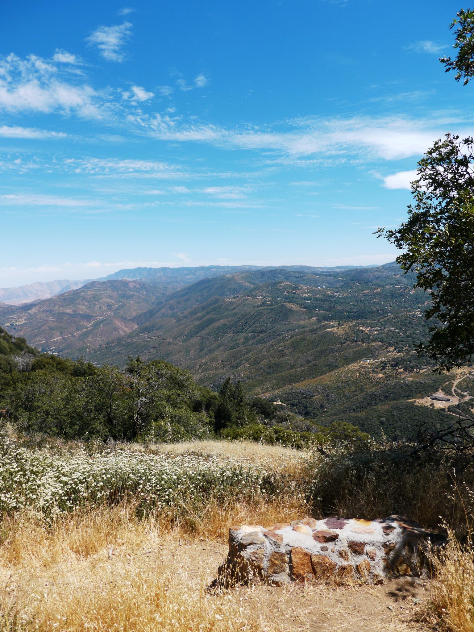 Mountain vista with dry grass, wildflowers, and a stone bench.