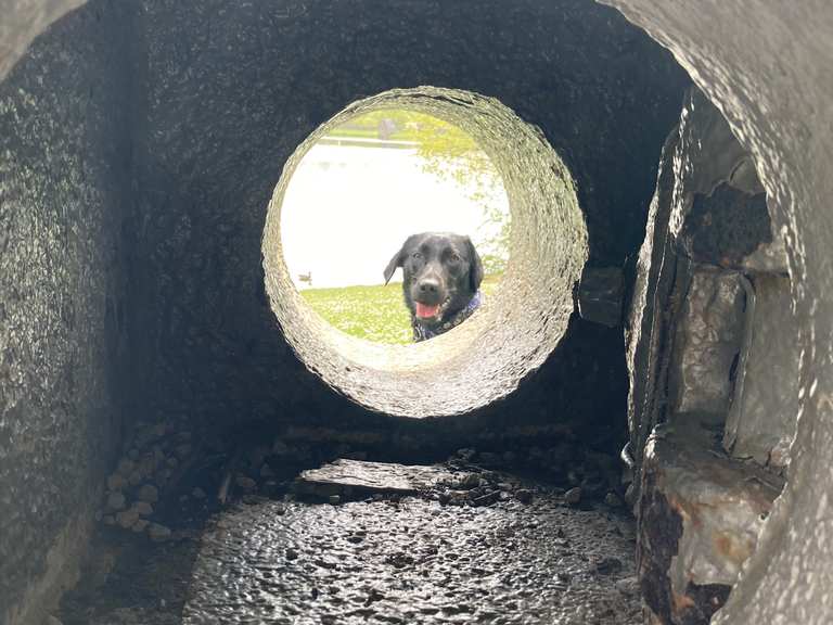Pool Car Park (Knypersley Reservoir) Routes for Walking and Hiking Komoot