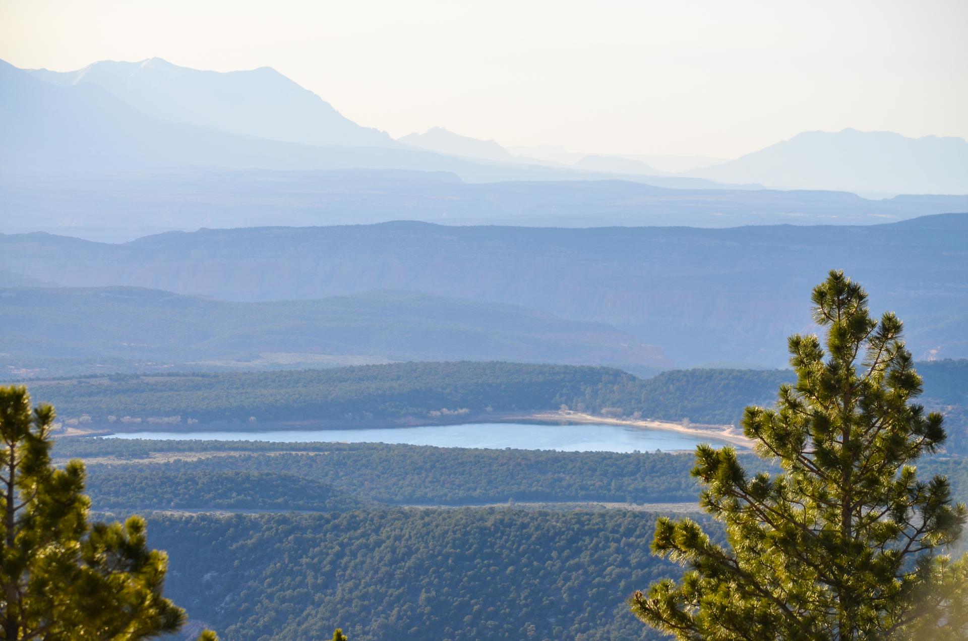 Pine trees frame a scenic view of a lake, forests, and hazy mountains.