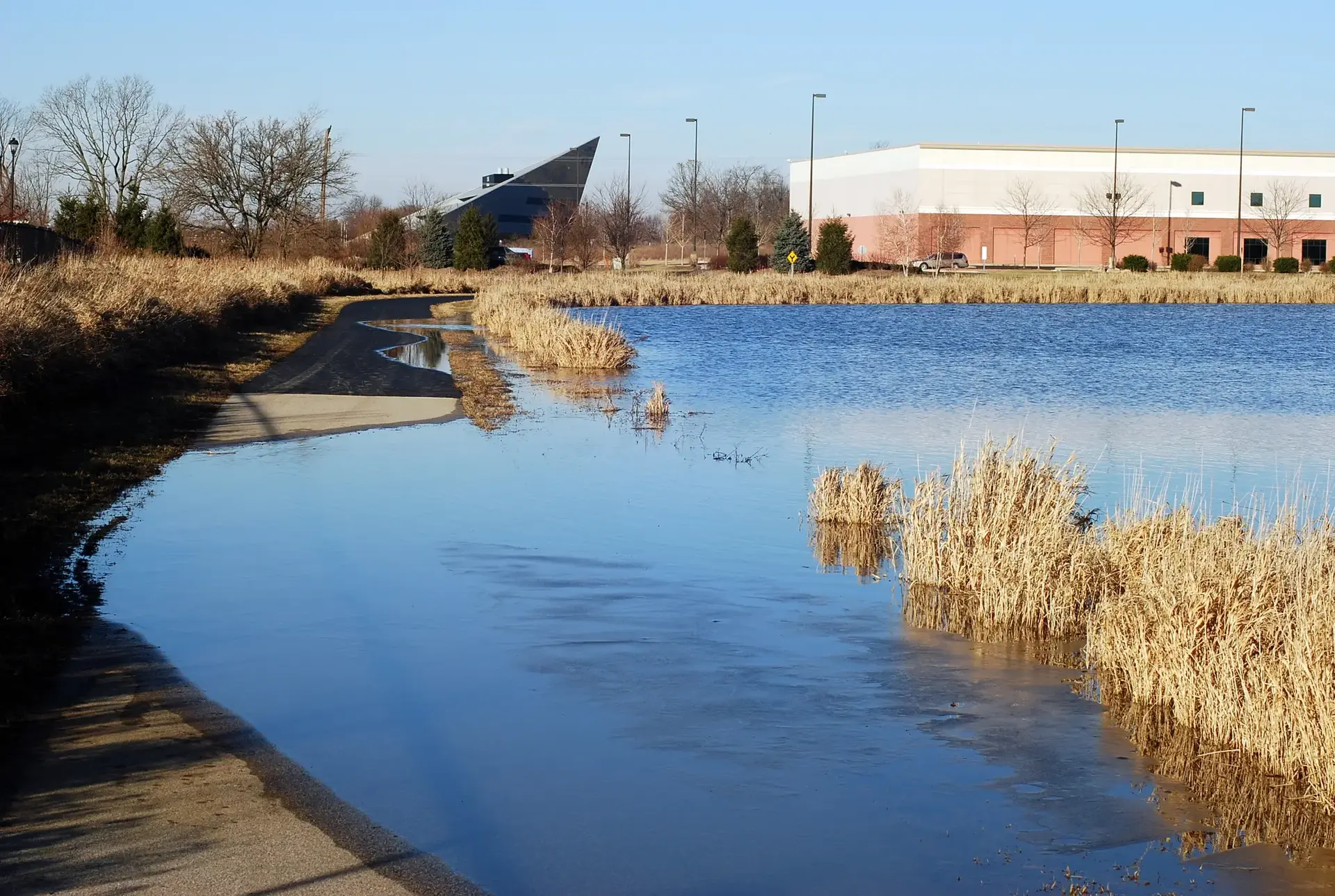 Flooded paved path next to a pond with dry reeds and buildings.