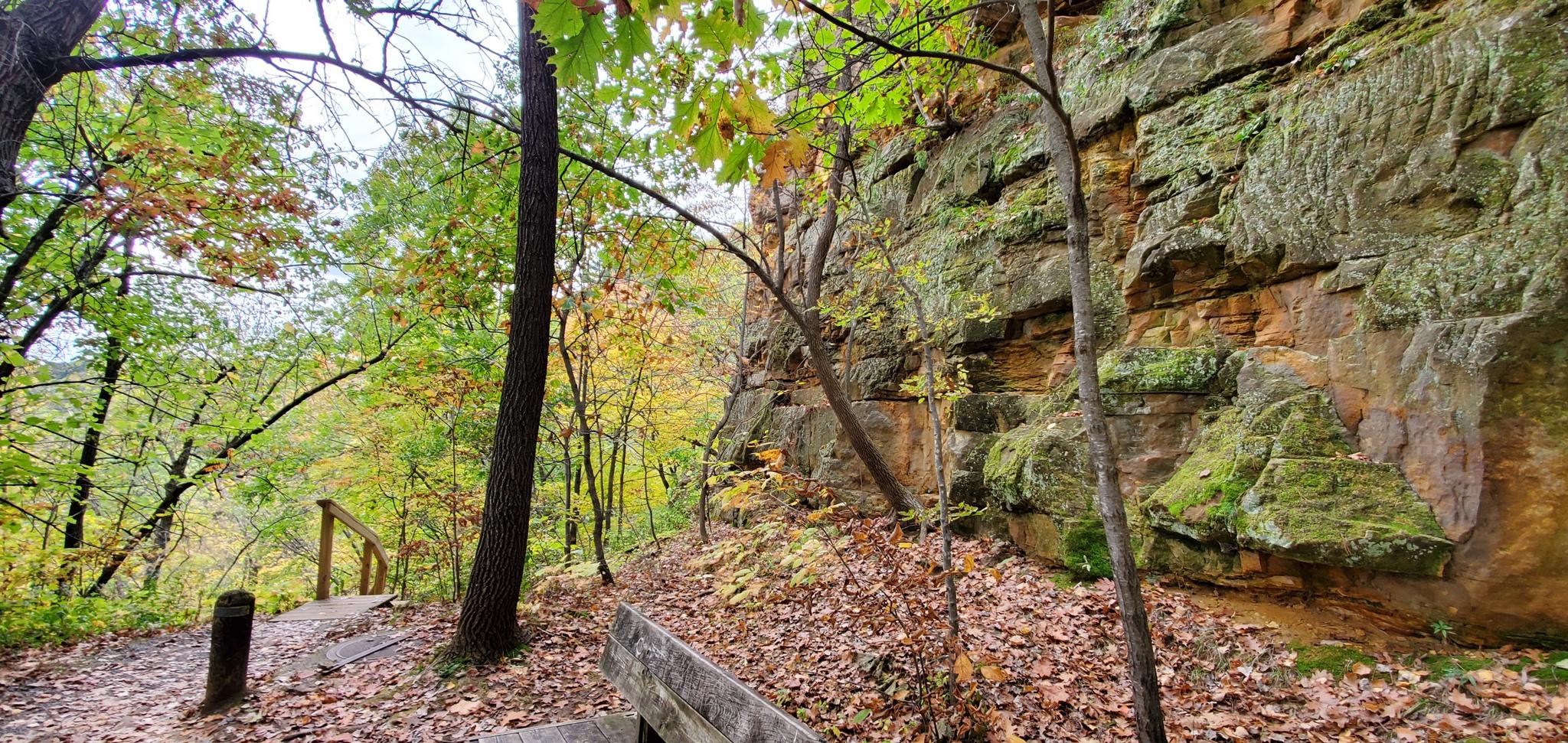 Forest path with autumn leaves beside a mossy rock wall and bench.