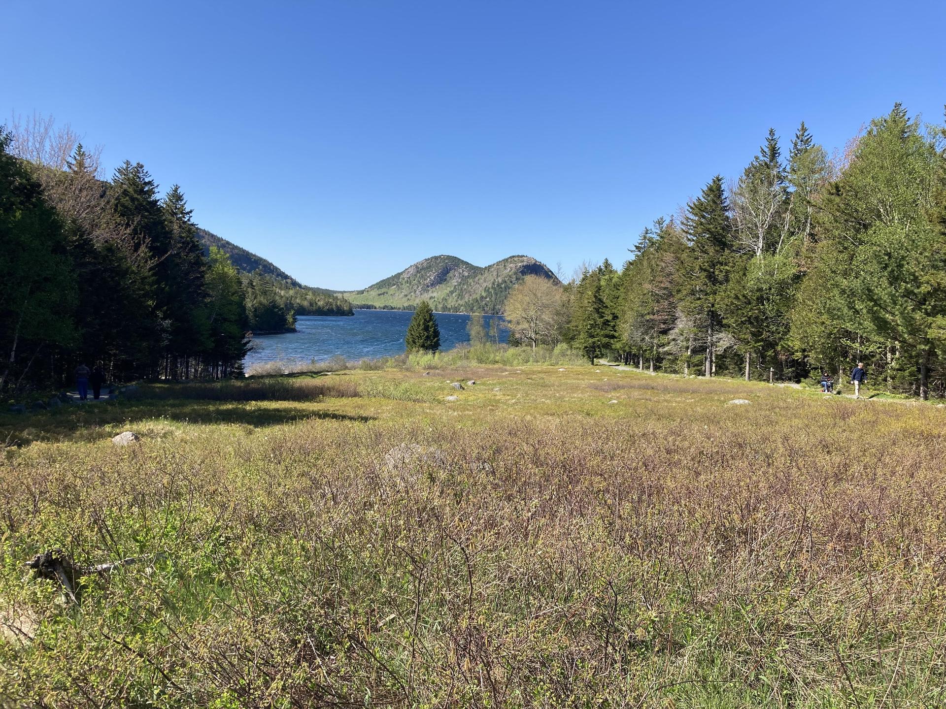Expansive grassy field with a lake and forested mountains under clear blue sky.