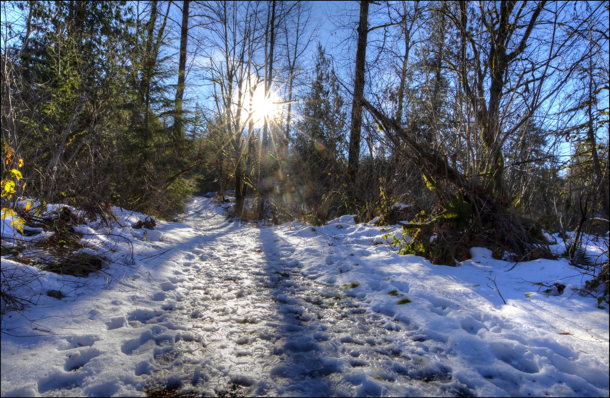 Bright sun shines on a snowy forest path with footprints. - McDonald Mountain Trail