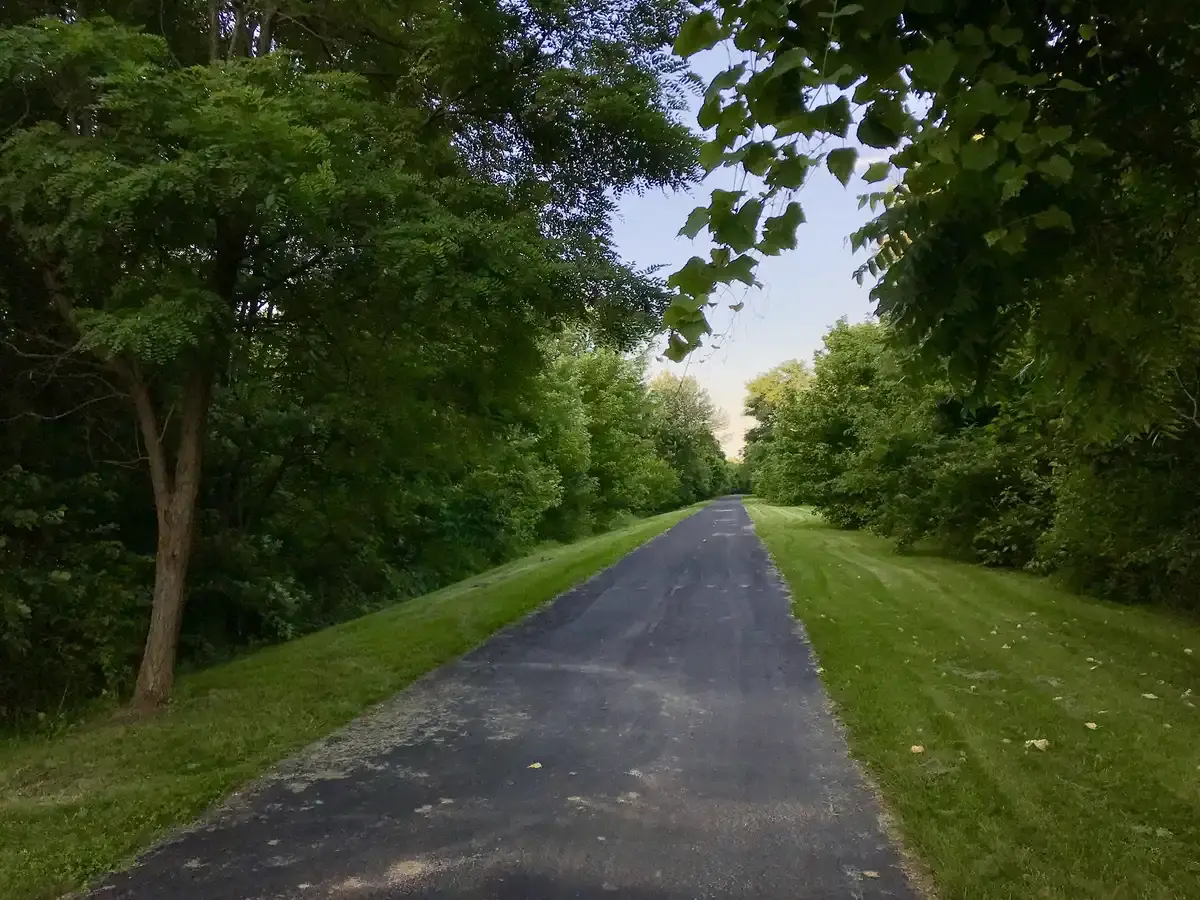 A paved path winds through a vibrant green forest on a bright day.