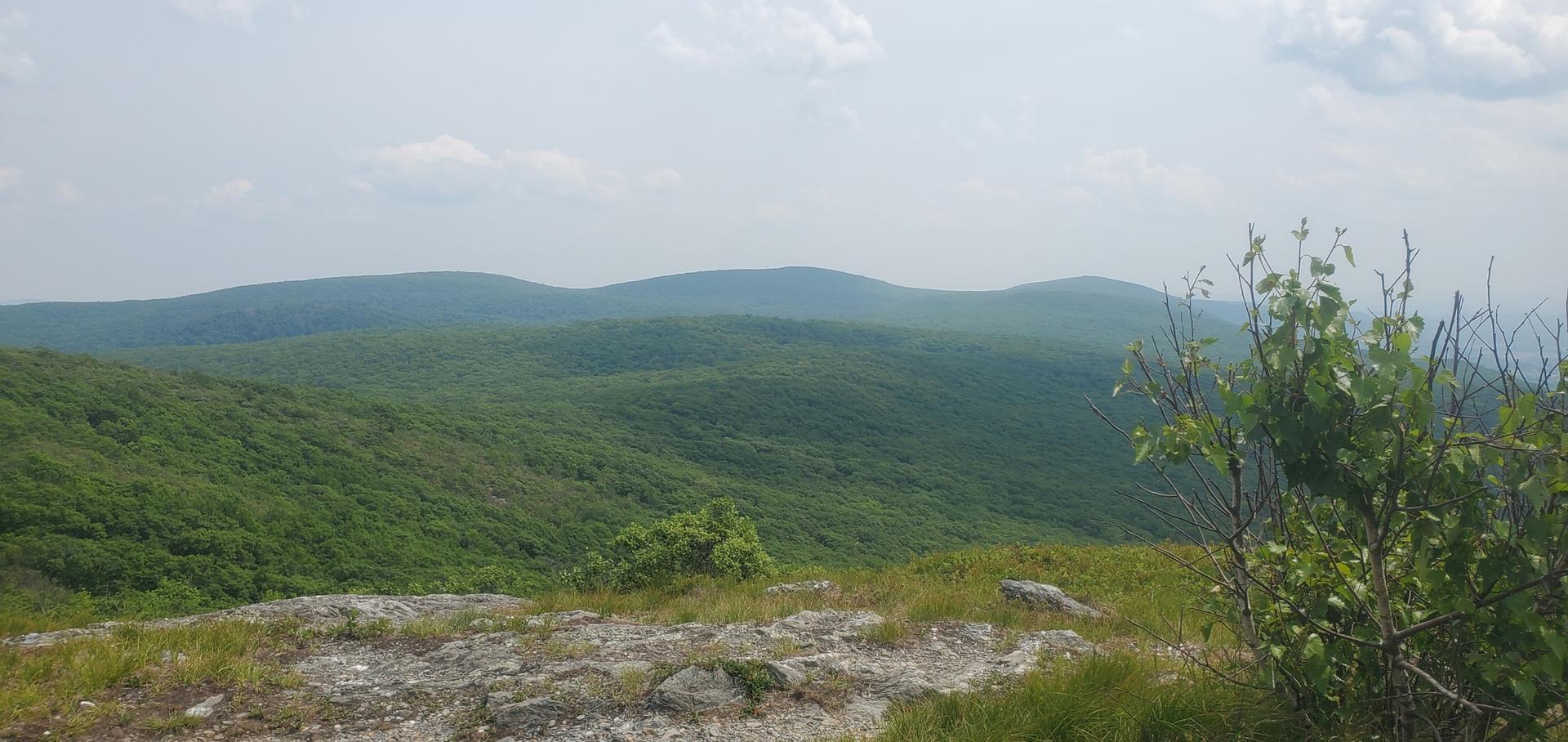 Panoramic view of lush green rolling hills under a cloudy sky.