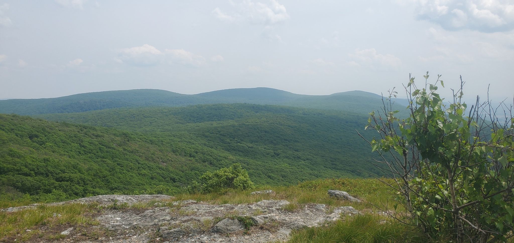 Panoramic view of lush green rolling hills under a cloudy sky. - Alander Mountain via South Taconic Trail