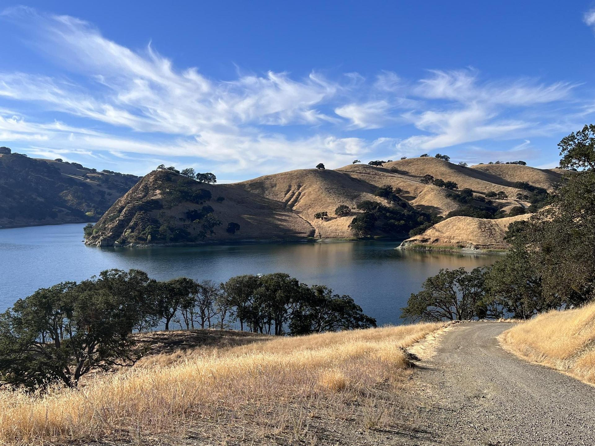 Bright day over a lake, golden hills, scattered trees, and a gravel path.