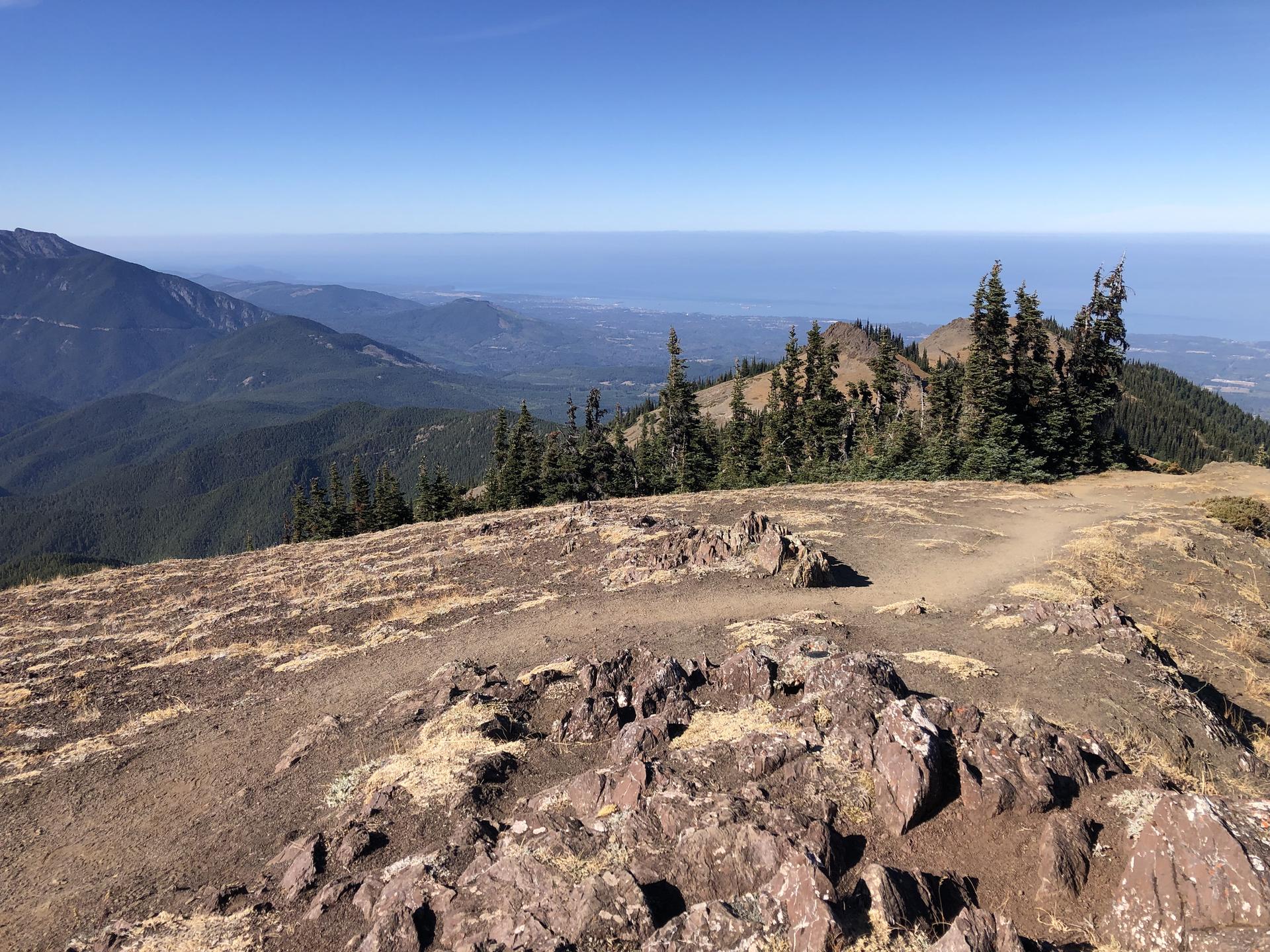 Rocky mountain peak overlooking forested slopes and distant water under clear skies.