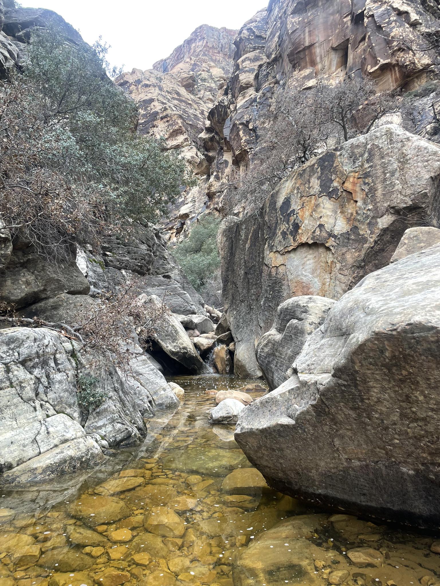 Clear stream flowing over rocks in a narrow, shaded canyon.