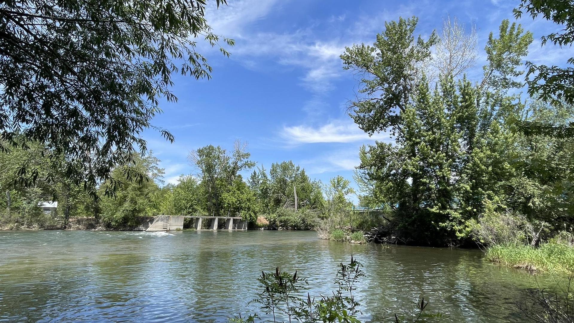 Sunny river scene with lush green trees, blue sky, and a small dam.