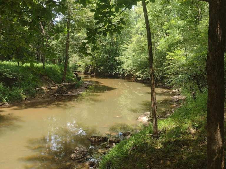 Falls Lake Trail (Mountain-to-Sea Trail) van Red Mill Road naar Penny's ...