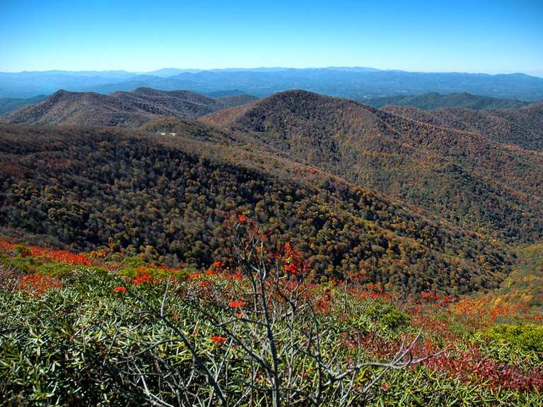 Walkers Knob Overlook to Craggy Dome via MountainstoSea Trail