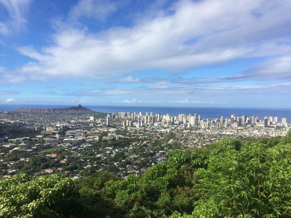 Expansive view of a coastal city, volcanic cone, and blue ocean. - Pālolo via Tantalus Drive loop