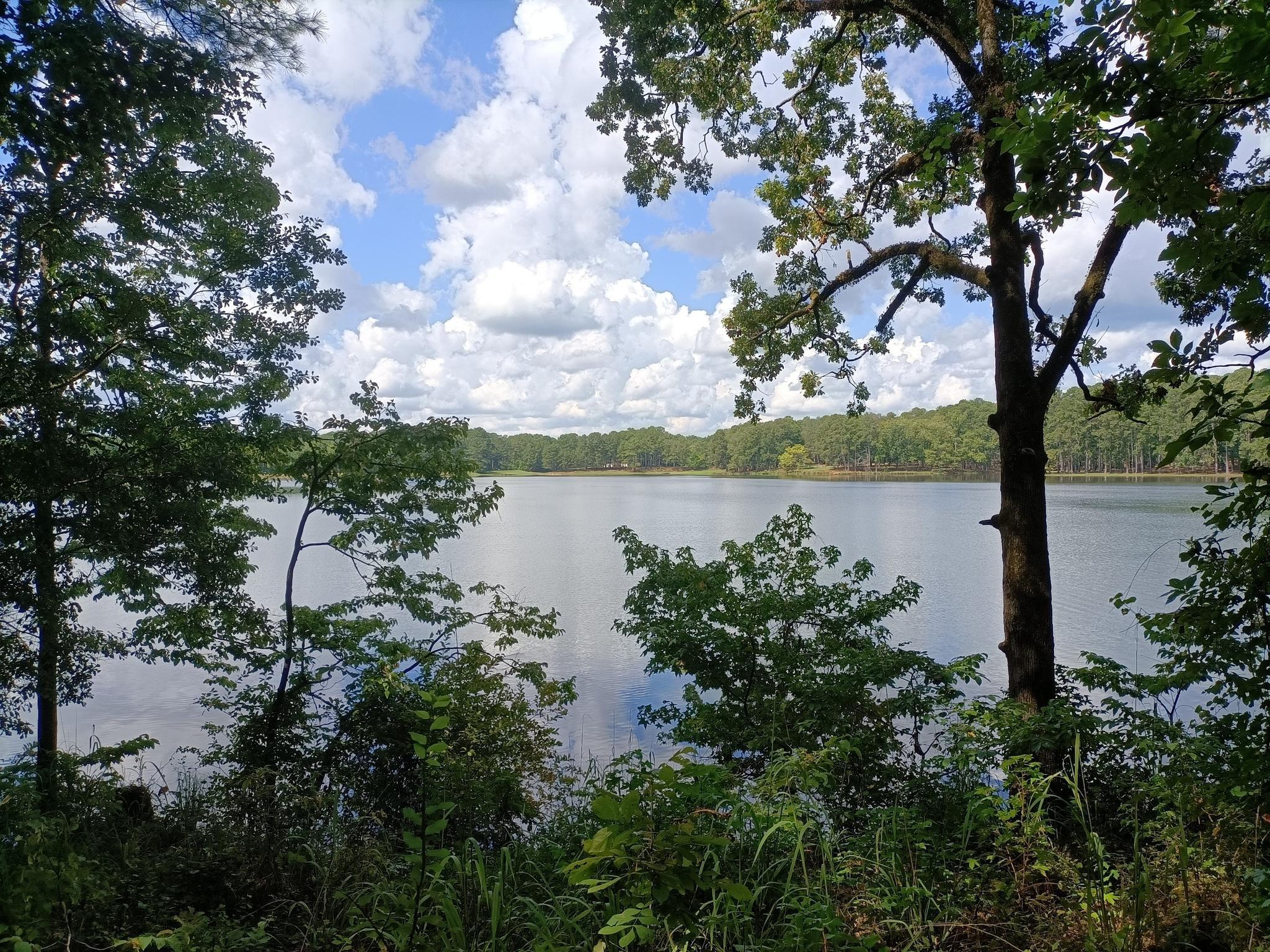 Lake view through green trees and foliage under a partly cloudy sky.