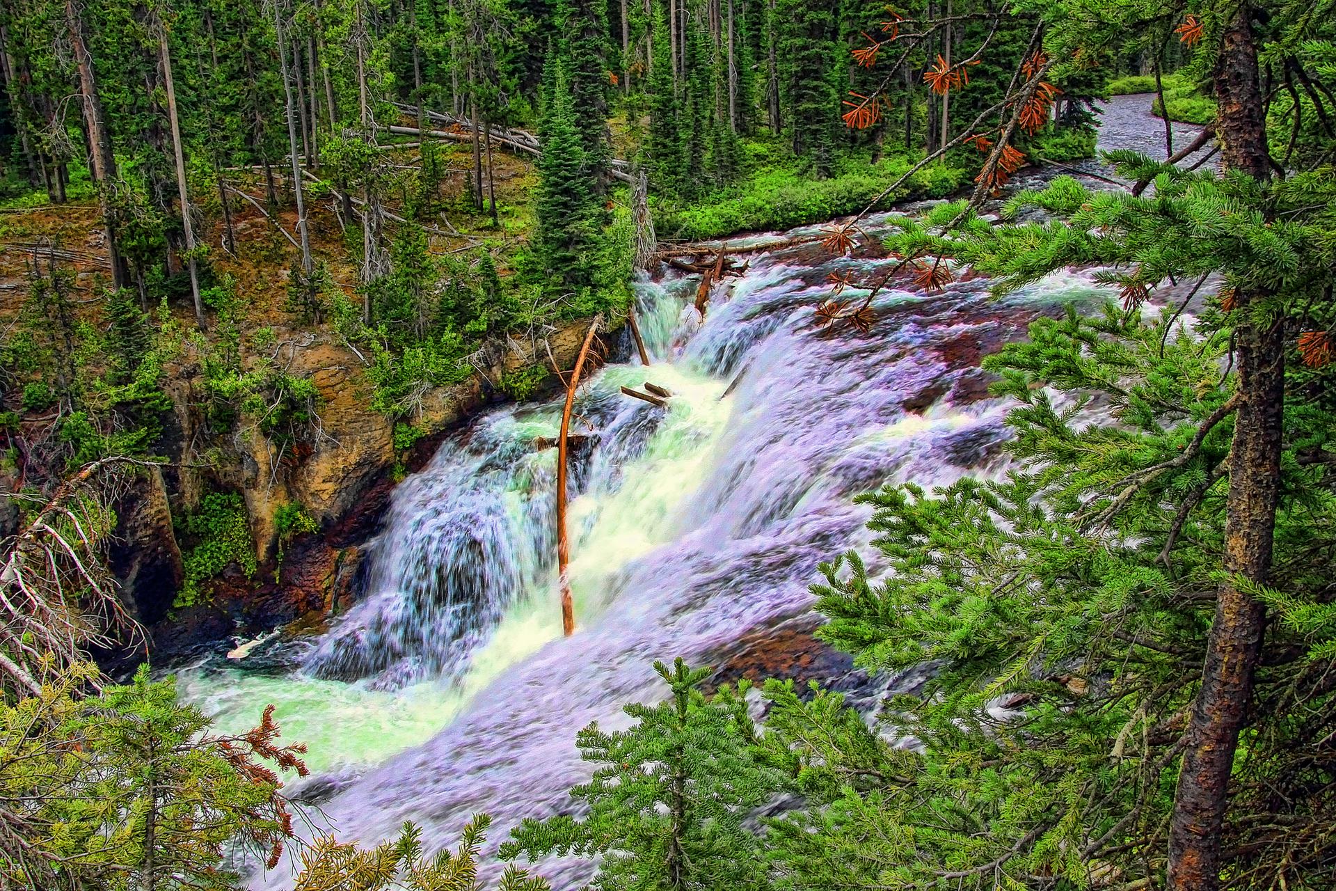 Wide, powerful waterfall plunges through a vibrant green forest.