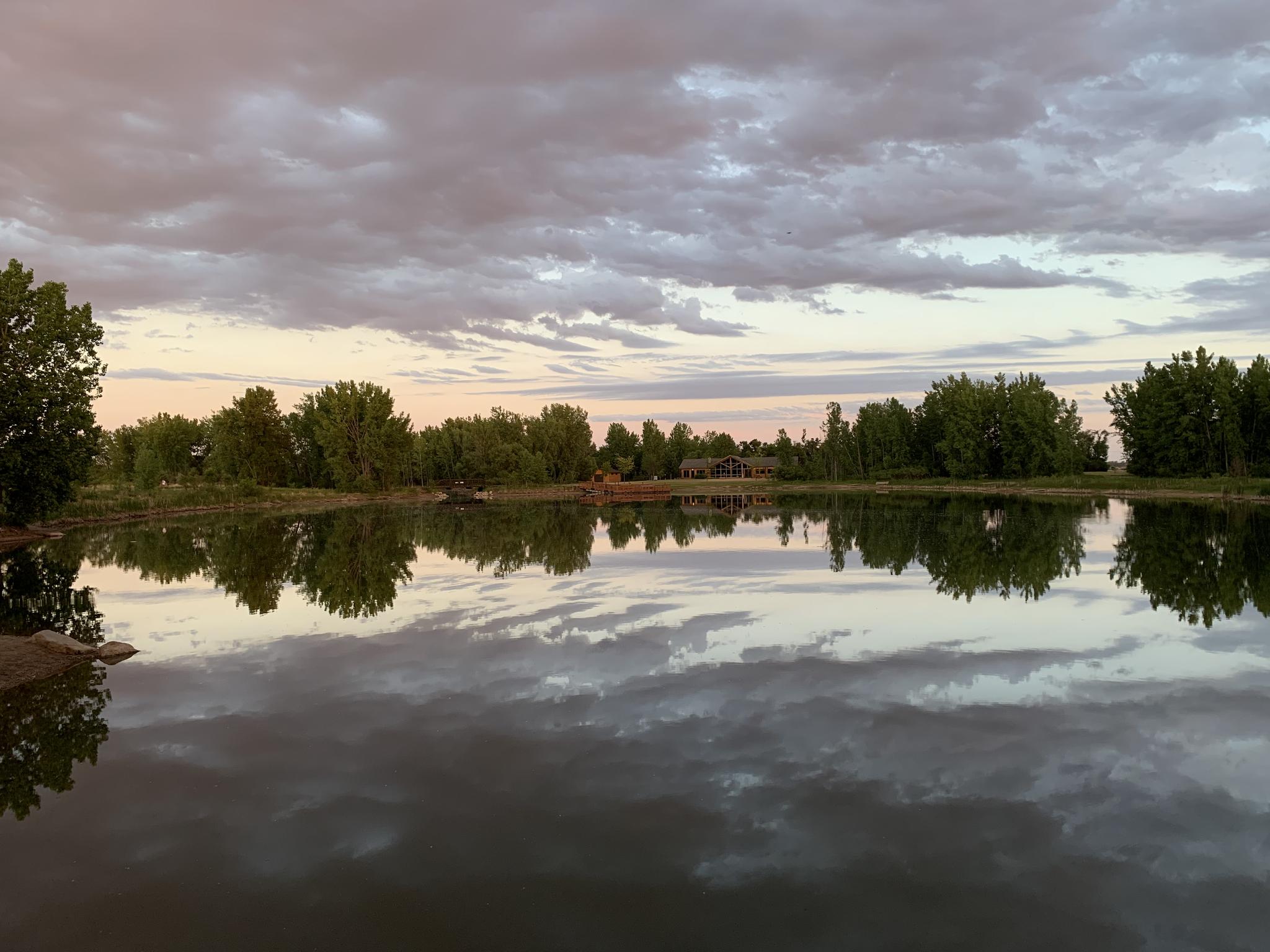 Calm pond reflecting cloudy sky and green trees at dusk.