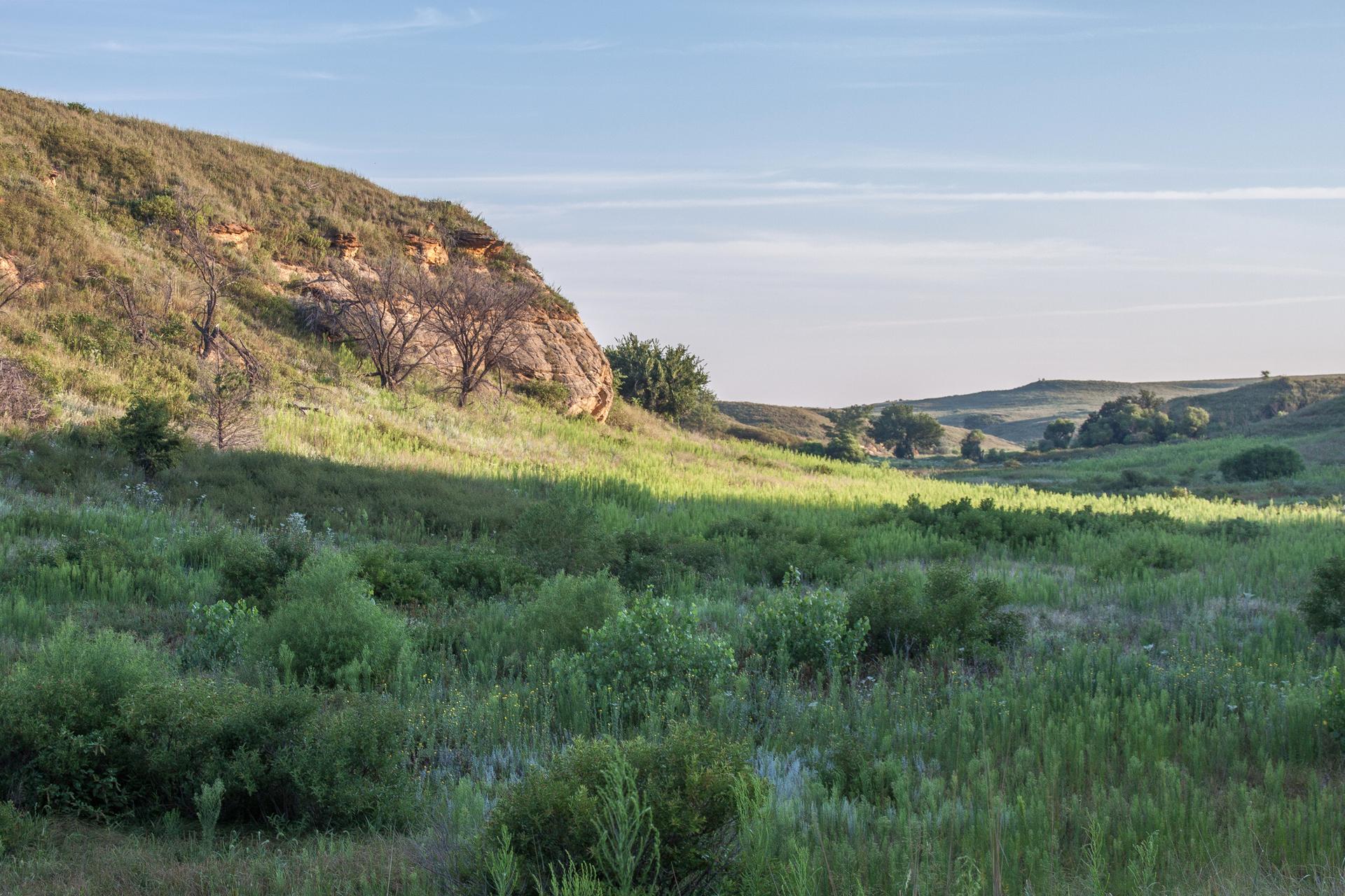 Sunny hillside with green vegetation and a valley under a clear sky.