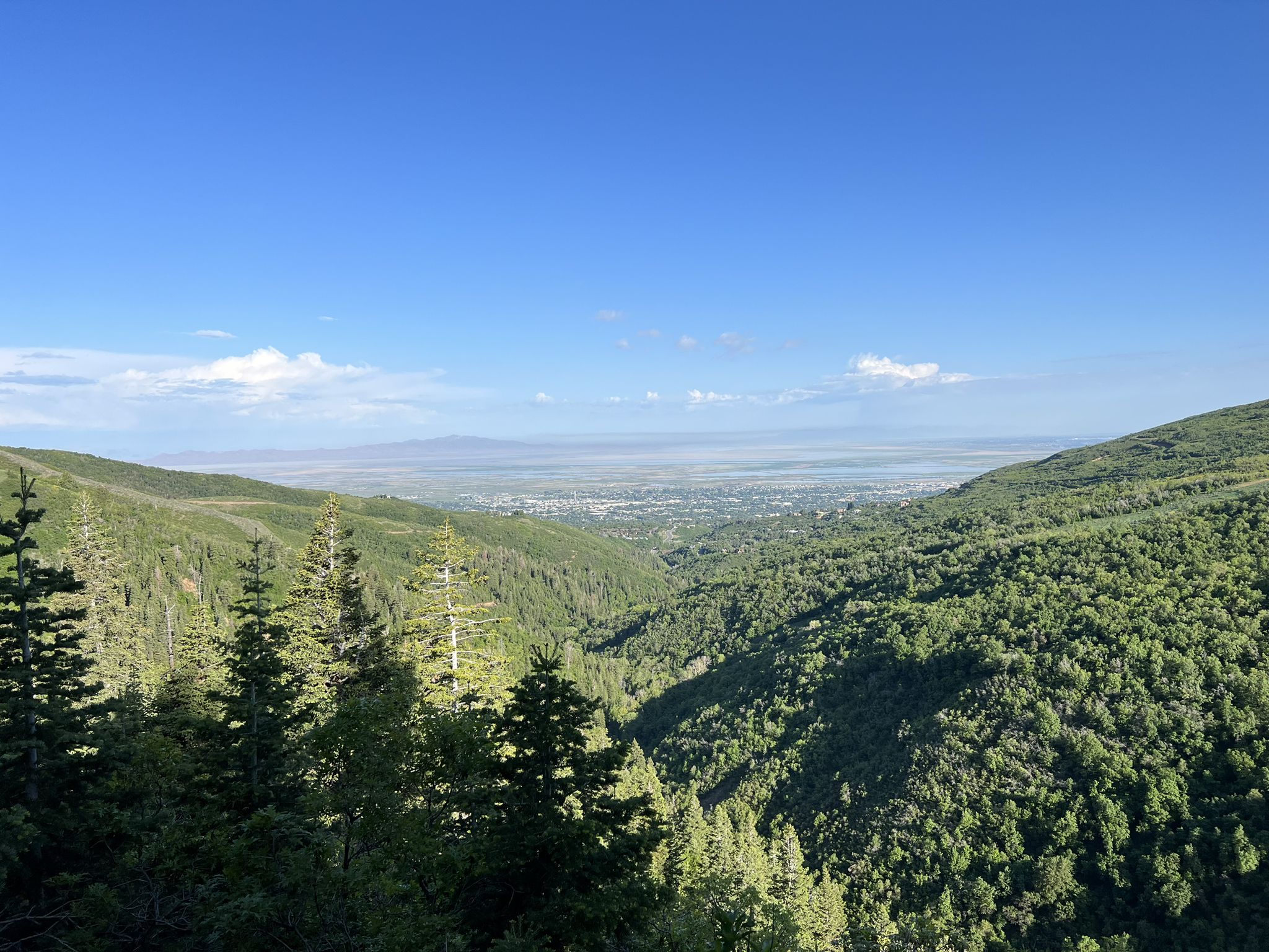 Expansive view of a green mountain valley with a distant city under a clear sky. - View of Mueller Park Trail – Big Rock loop from North Salt Lake