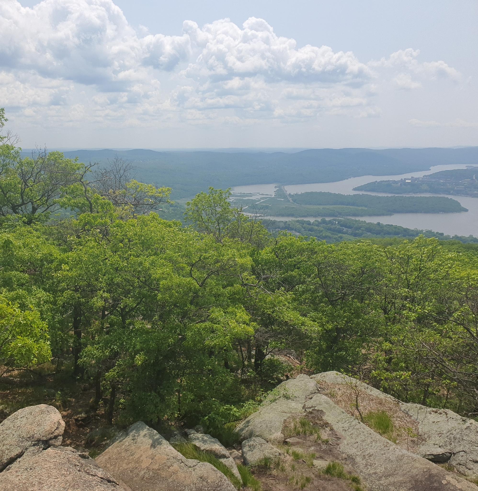 Sunny view from a rocky outcrop overlooking a river and green forest.