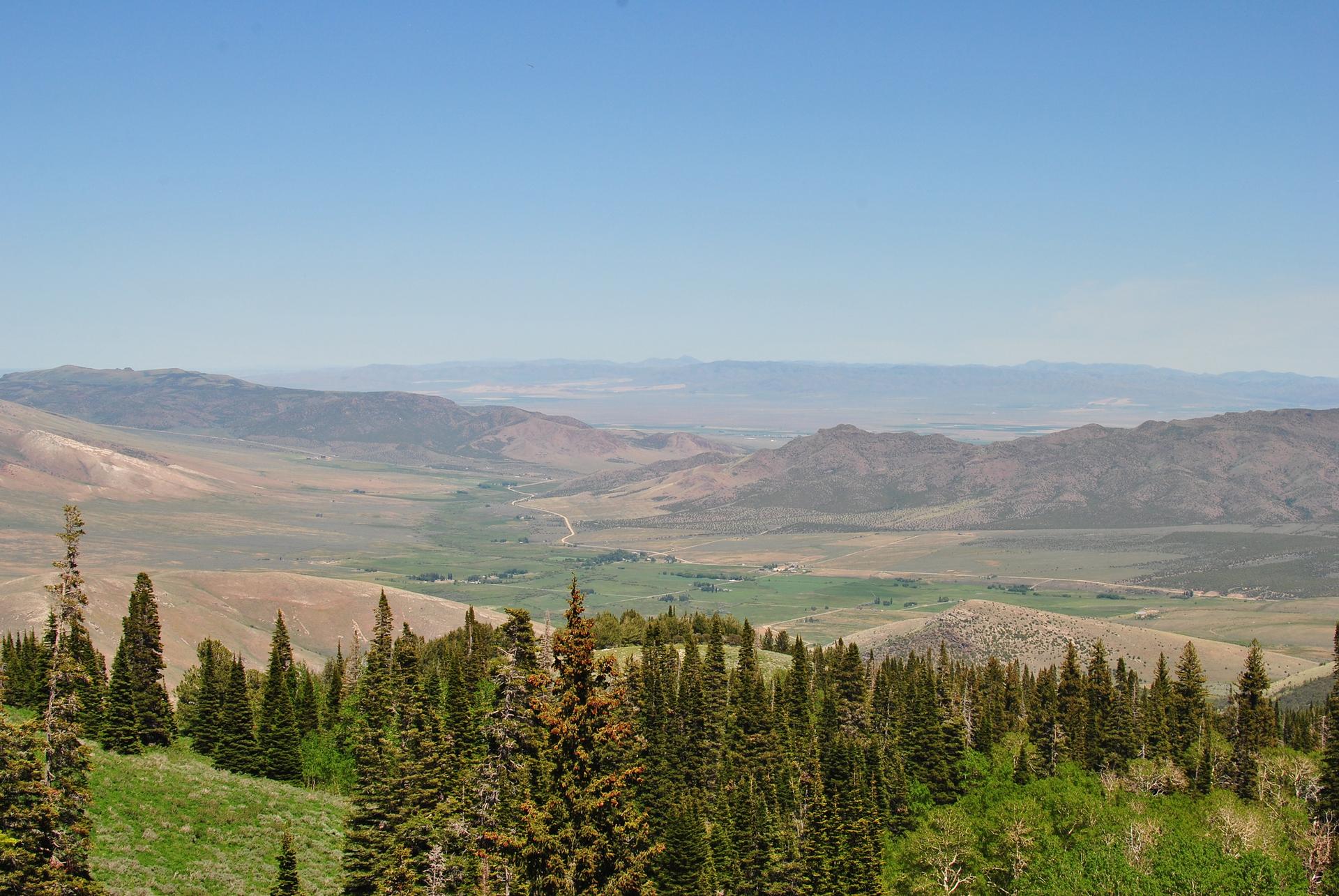 Expansive mountain valley with evergreen trees in foreground under clear blue sky.