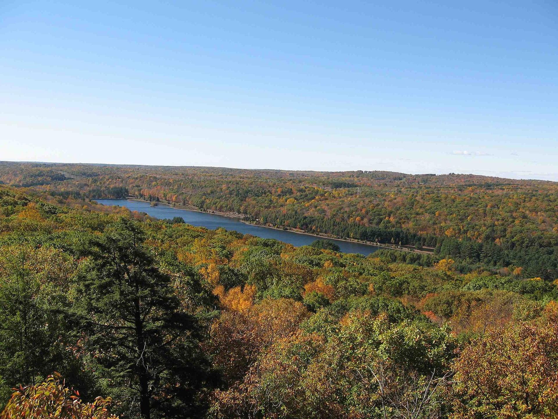 Expansive autumn forest with a winding river under a clear blue sky.
