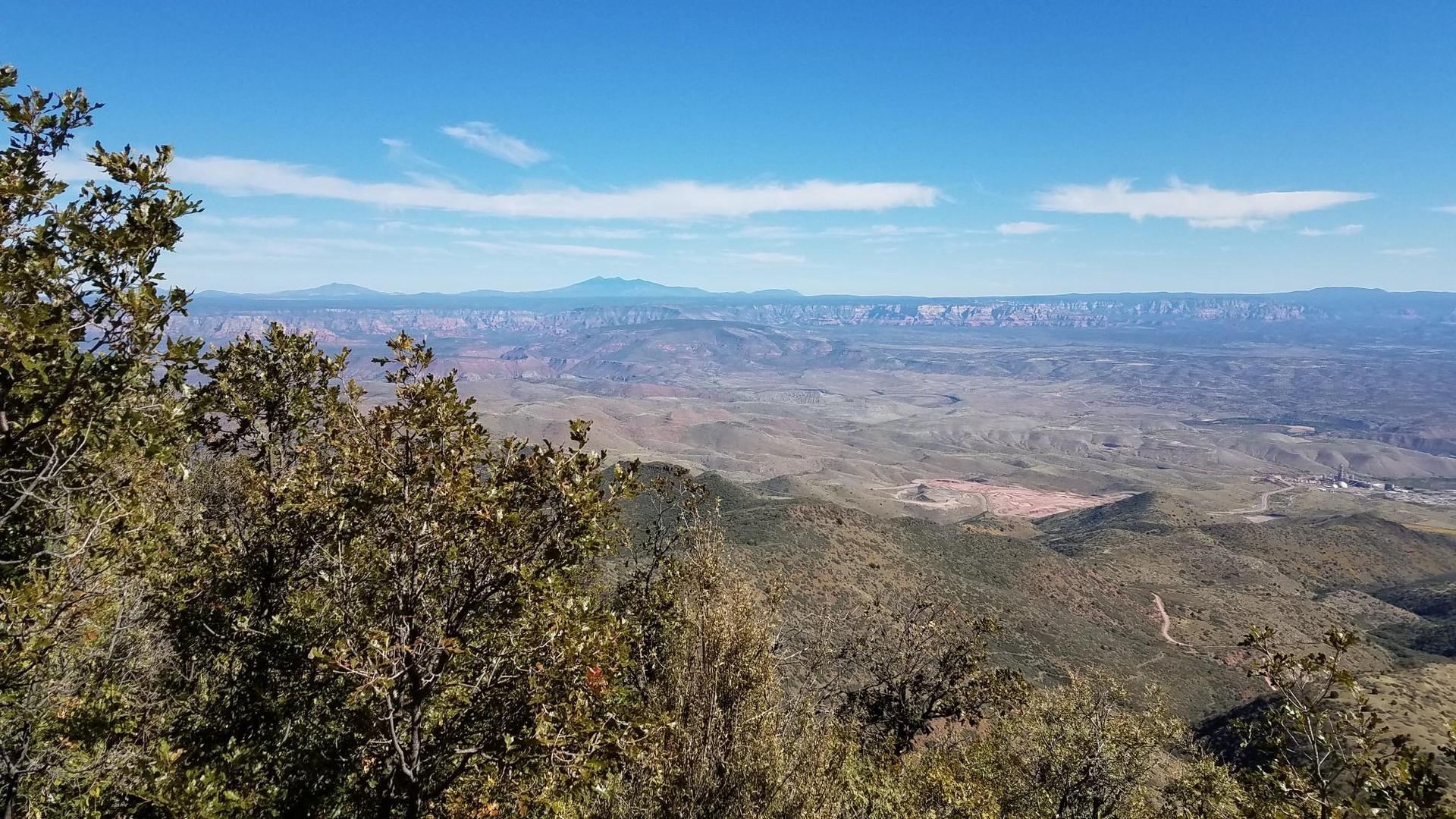 Vast arid mountain landscape under a clear blue sky, with foreground foliage.