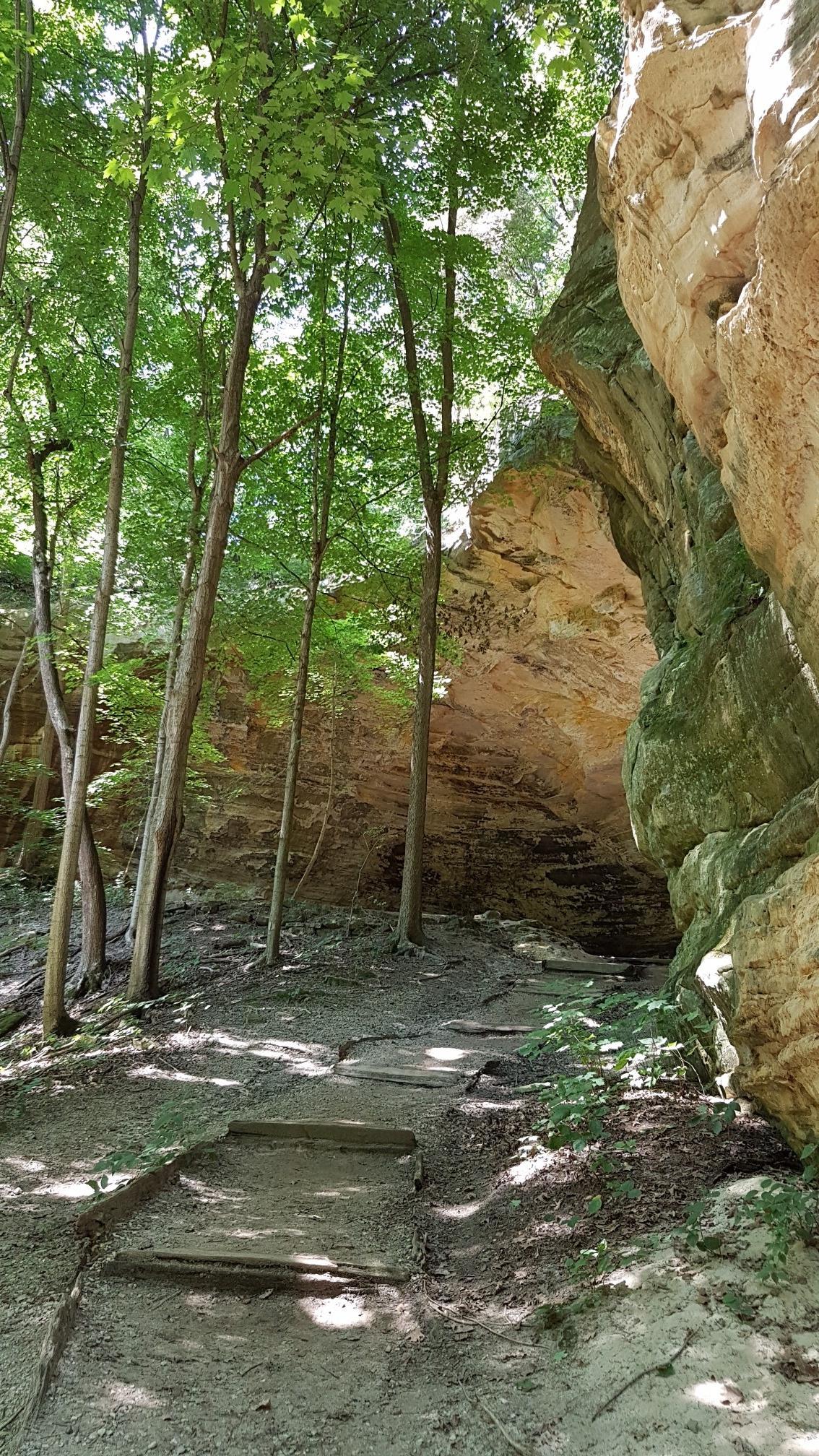 Shaded dirt path with steps next to a tall rock wall in a forest.