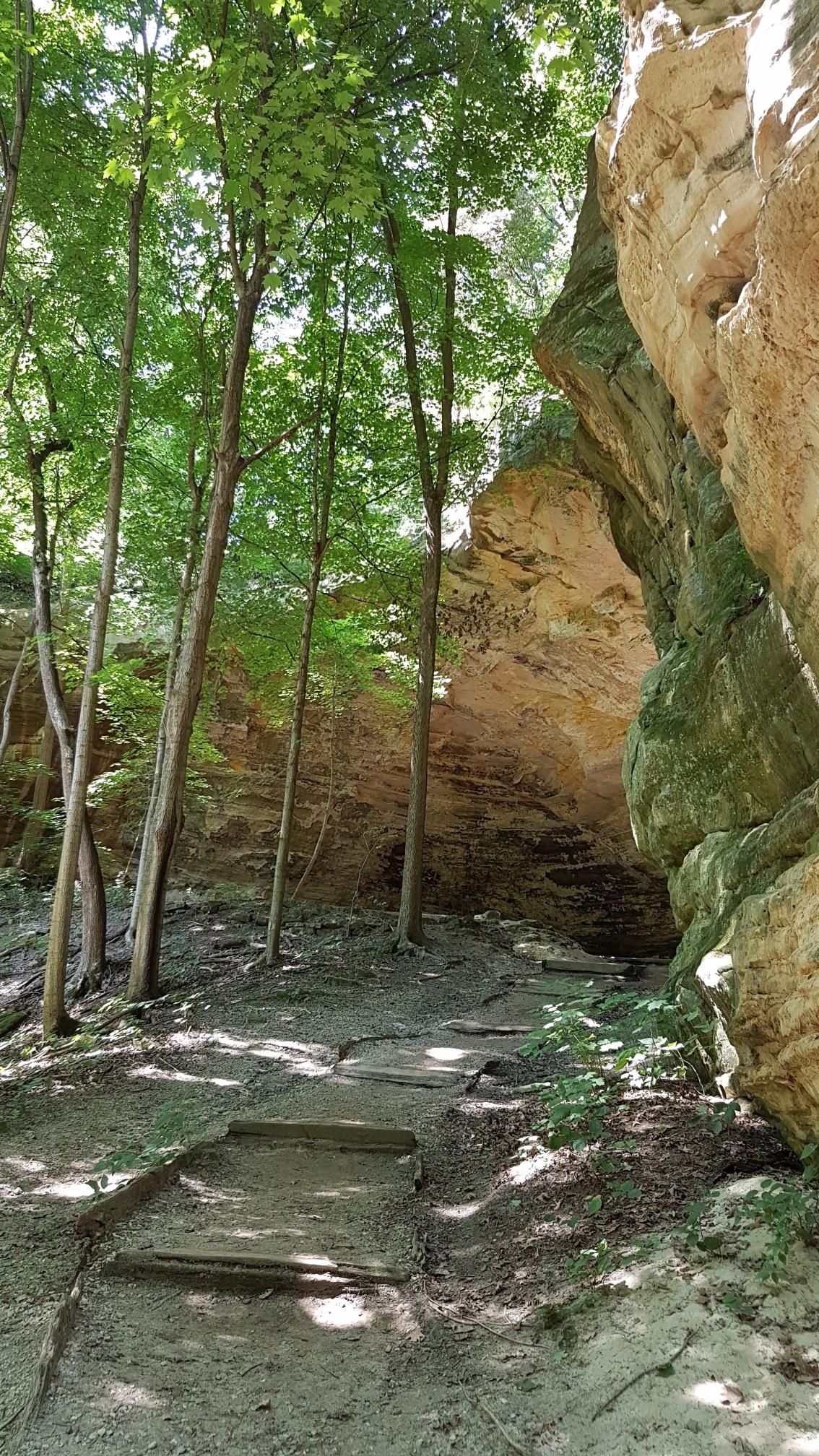 Shaded dirt path with steps next to a tall rock wall in a forest. - Ottawa Canyon Trail