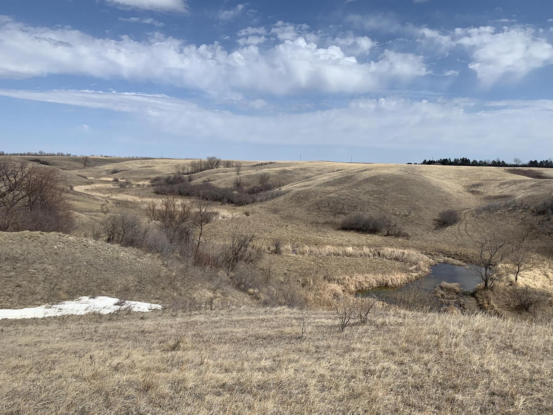 Rolling hills with dry grass, bare trees, and a small pond under a cloudy sky.