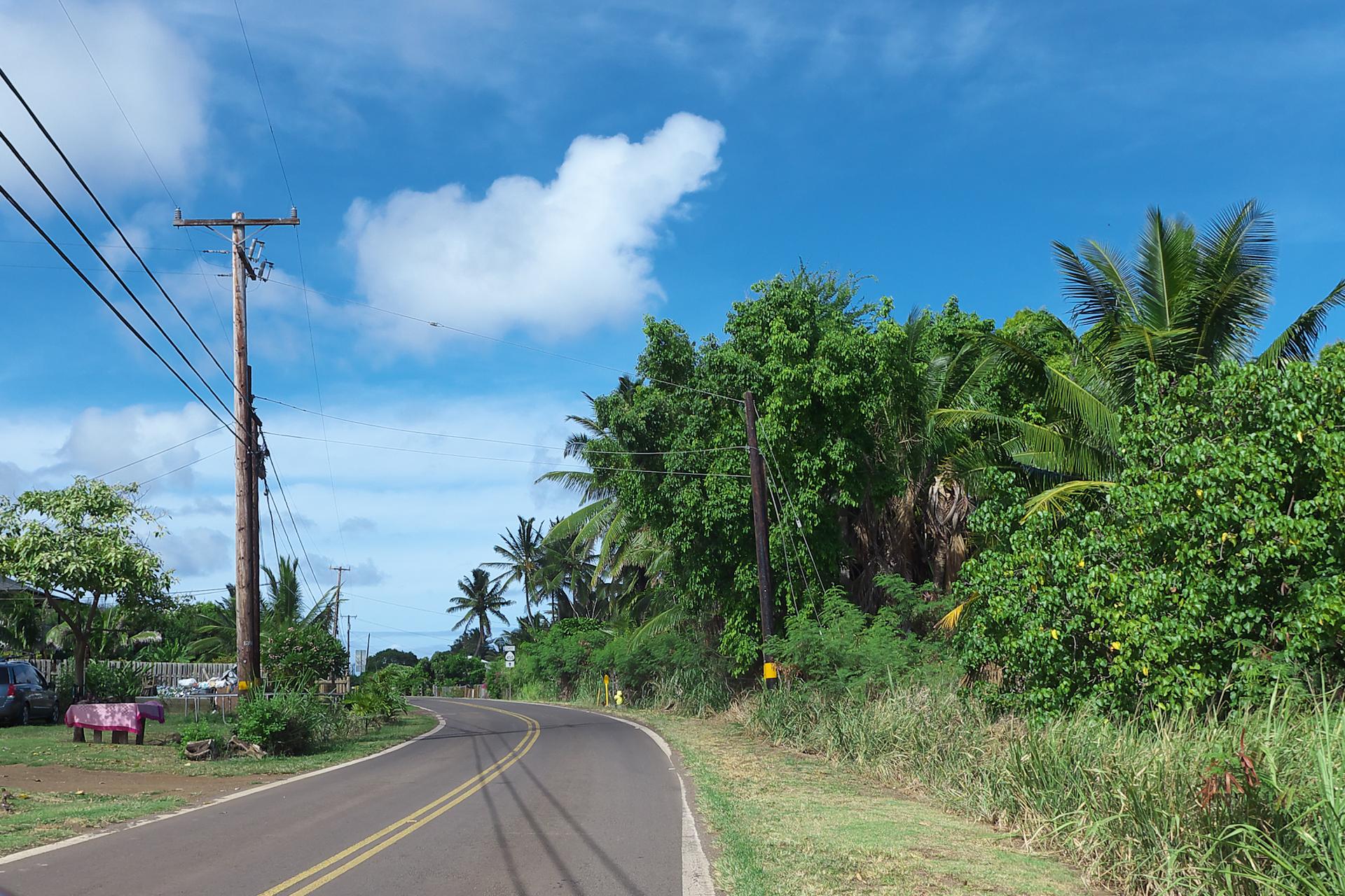 Paved road with utility poles, lush tropical trees under a blue sky.