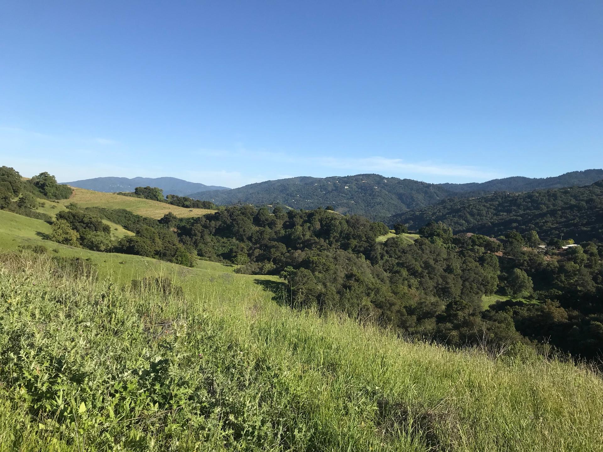 Rolling green hills and dense trees under a clear blue sky.