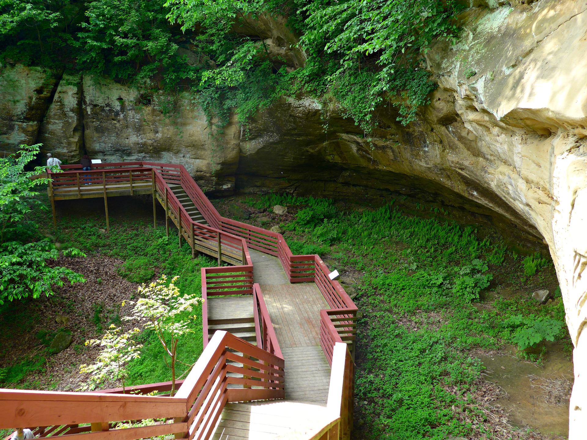 Wooden boardwalk and stairs winding down a lush green hillside under a rock overhang.