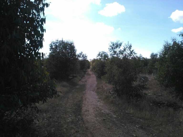 Finca las Carboneras y ermita de Bótoa circular por la orilla del río