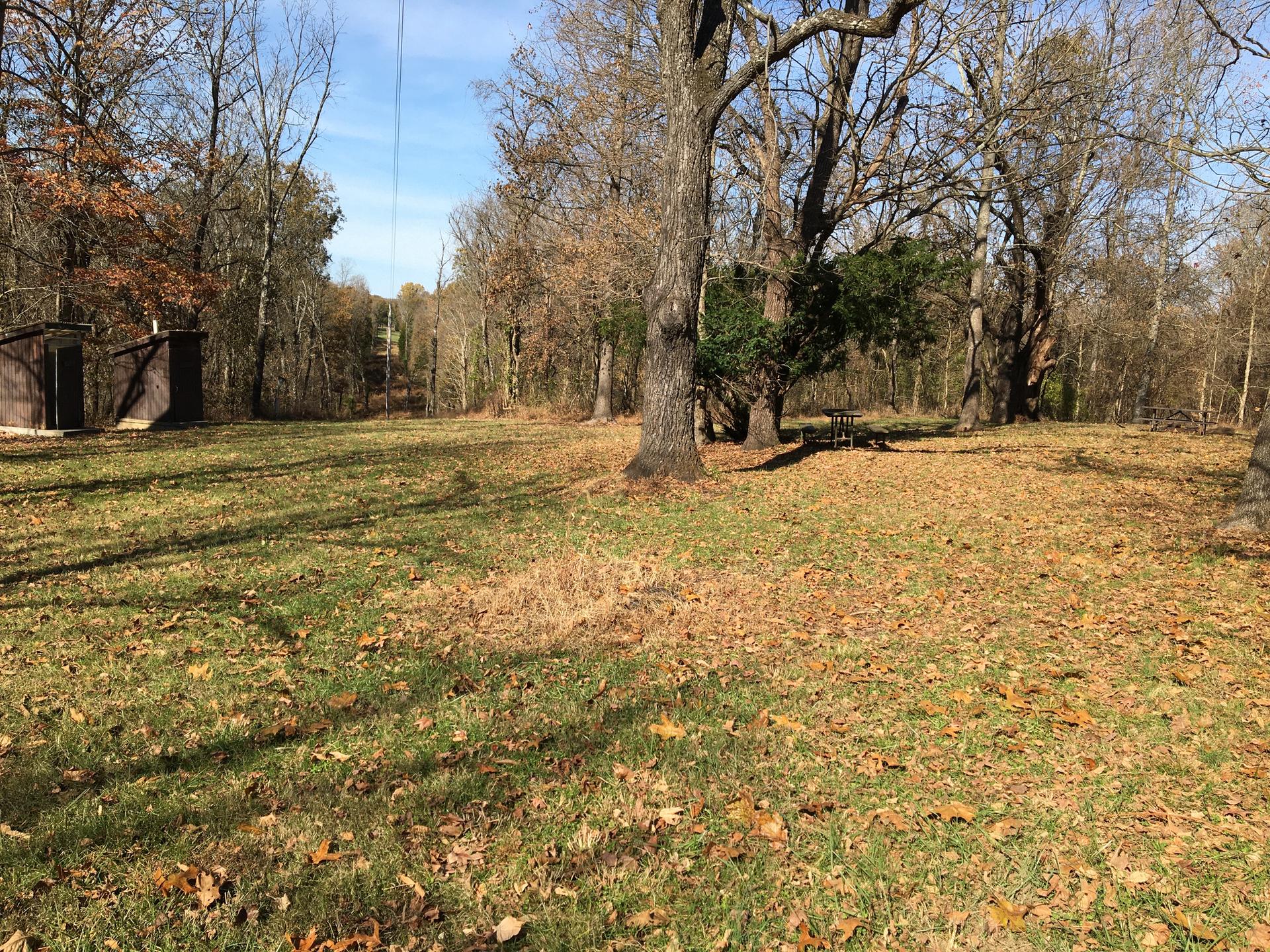 Sunny clearing with grass, fallen leaves, trees, small buildings, and a picnic table.
